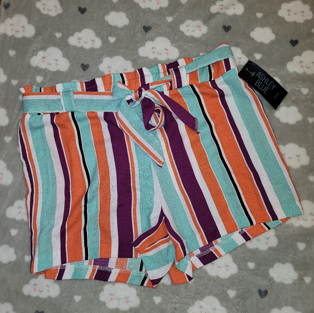 Ashley Blue striped shorts, purple, mint, and coral, belted, womens size PXL